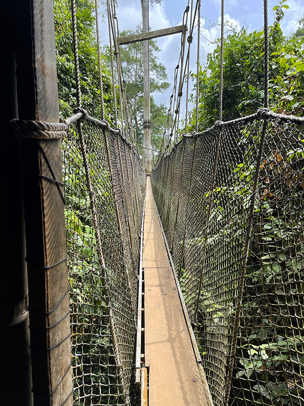 Kahkum_bridge_enh600x800